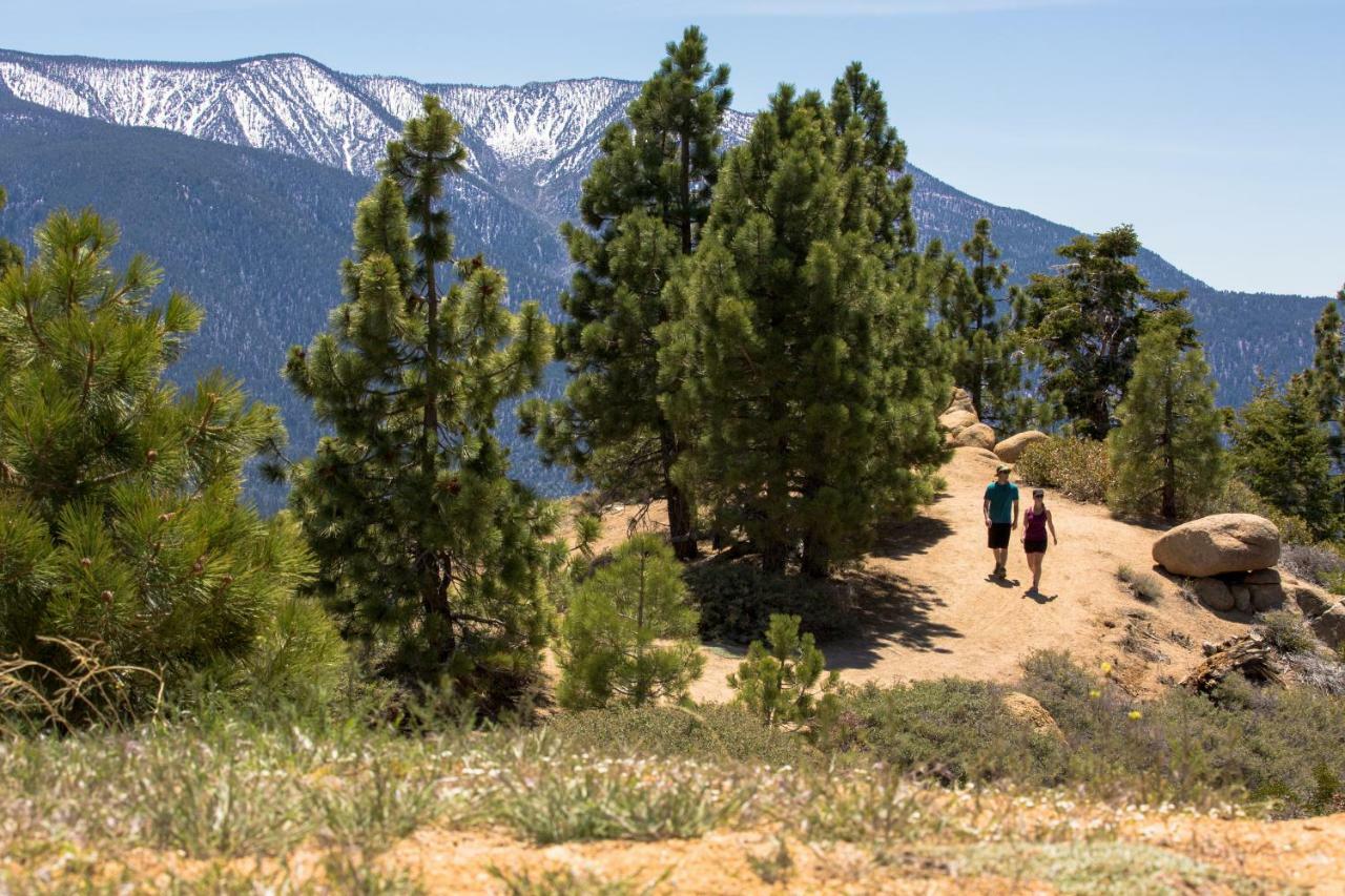 Honey Bear Lodge & Cabins Big Bear Lake Eksteriør bilde