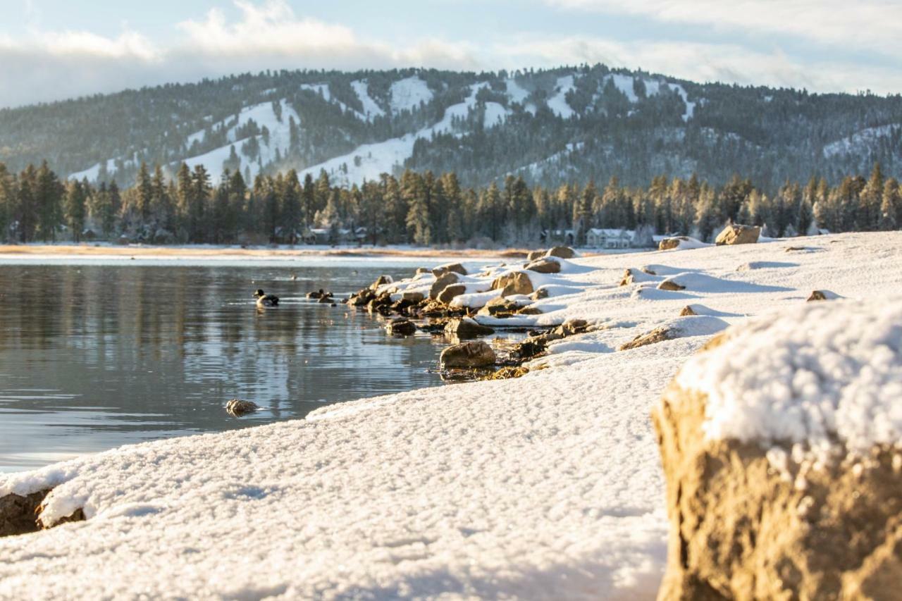Honey Bear Lodge & Cabins Big Bear Lake Eksteriør bilde