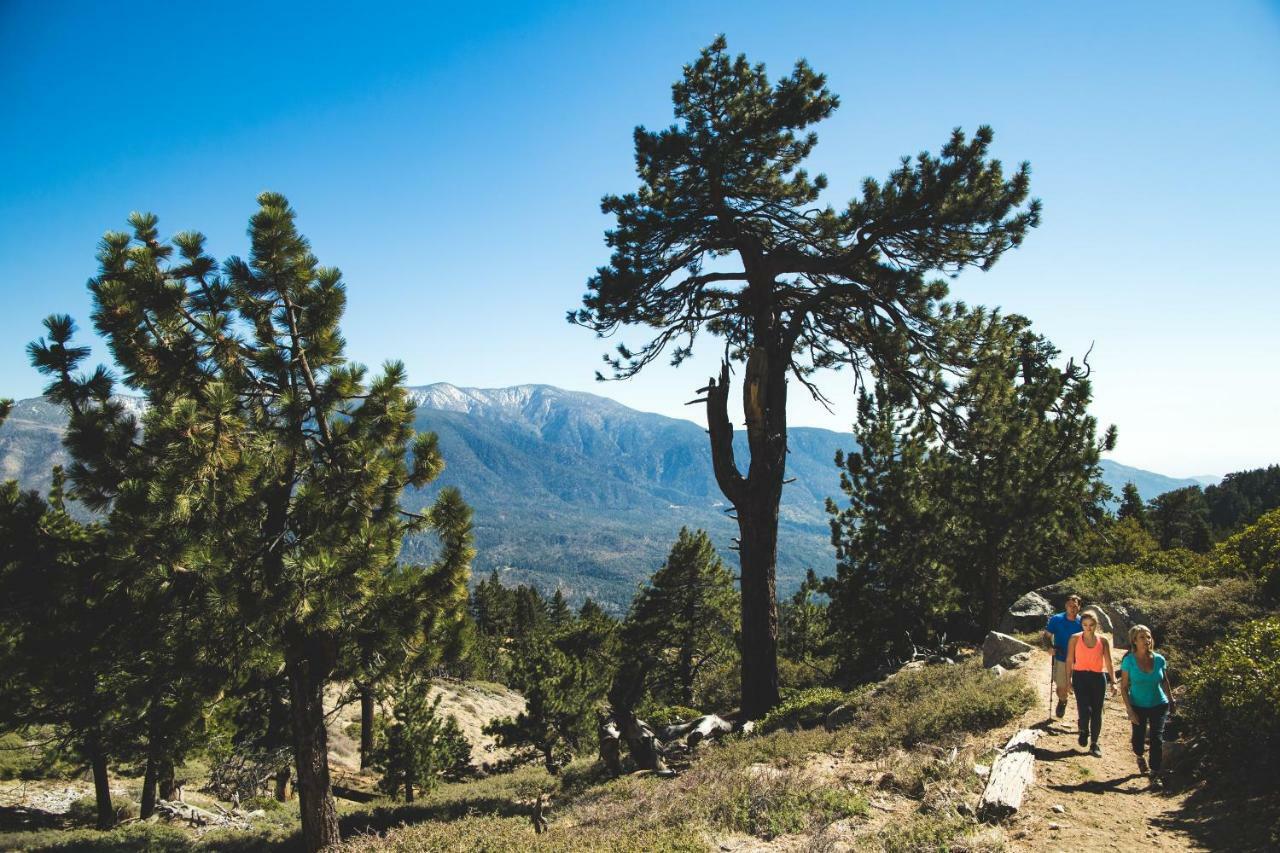 Honey Bear Lodge & Cabins Big Bear Lake Eksteriør bilde